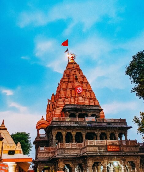 00000IMG_00000_BURST20211121175223433_COVER (1)